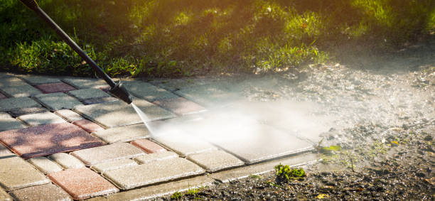 Best Animal Enclosure Cleaning  in Audubon Park, KY